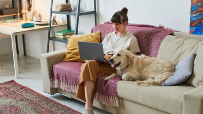 Woman working on a laptop on her living room sofa next to a golden retriever