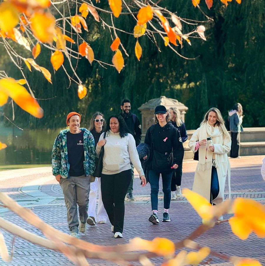 Pink October walks in Central Park
